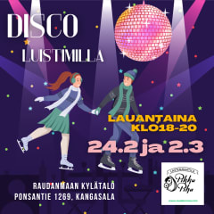 Raudanmaan luisteludisko