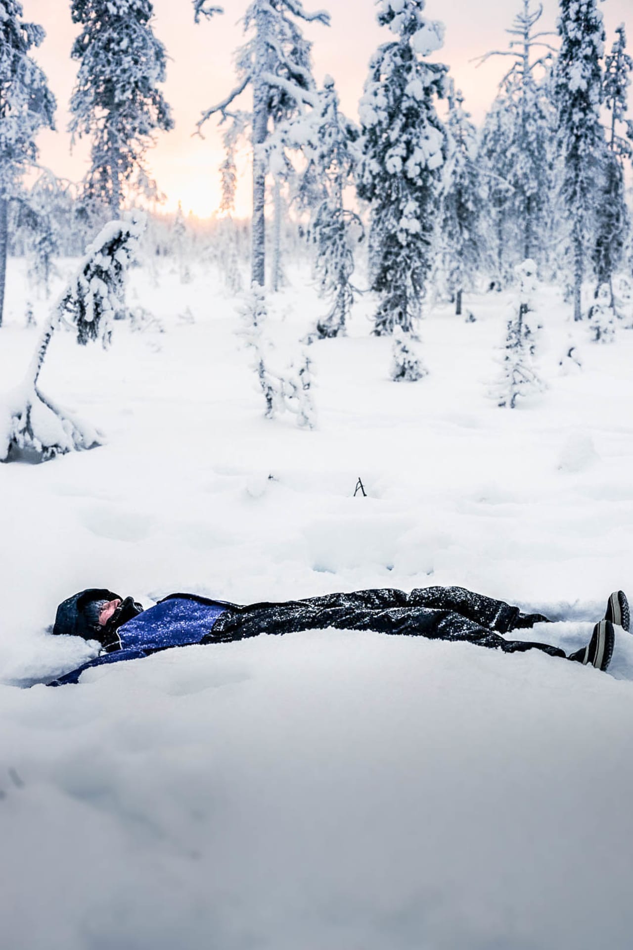 Arctic Snowshoe Walk