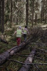 Children walking on a fallen tree