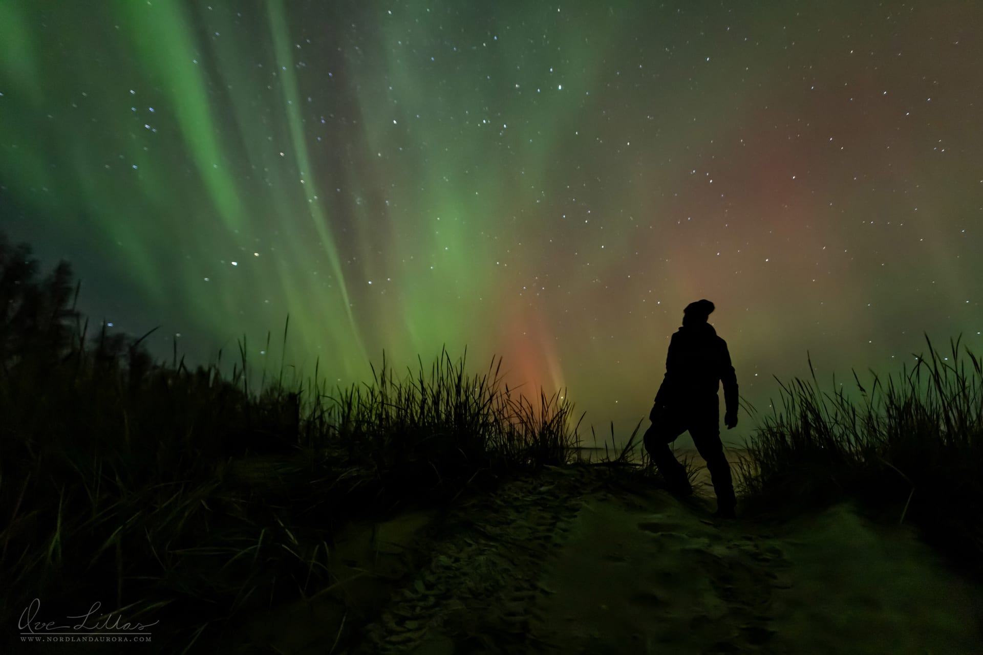 Watching the northern lights in the Jakobstad/Pietarsaari region