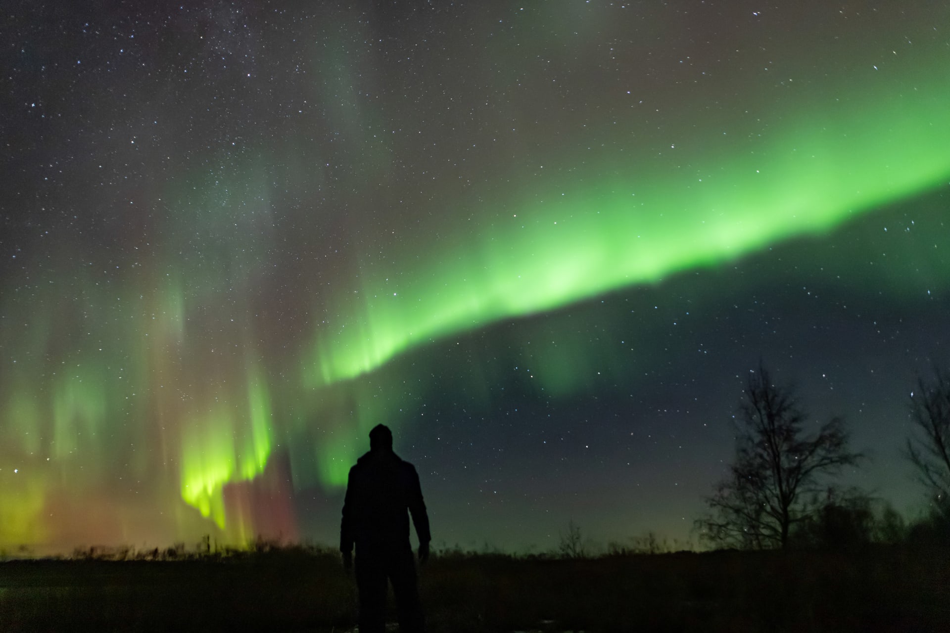 Aurora watcher in Nykarleby