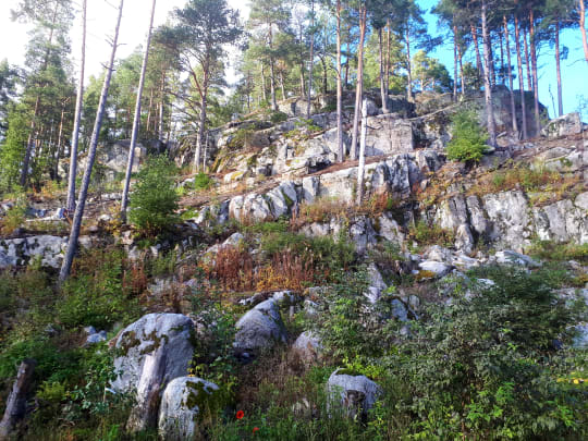 Pölkinvuori cliff is about 200 million years old.