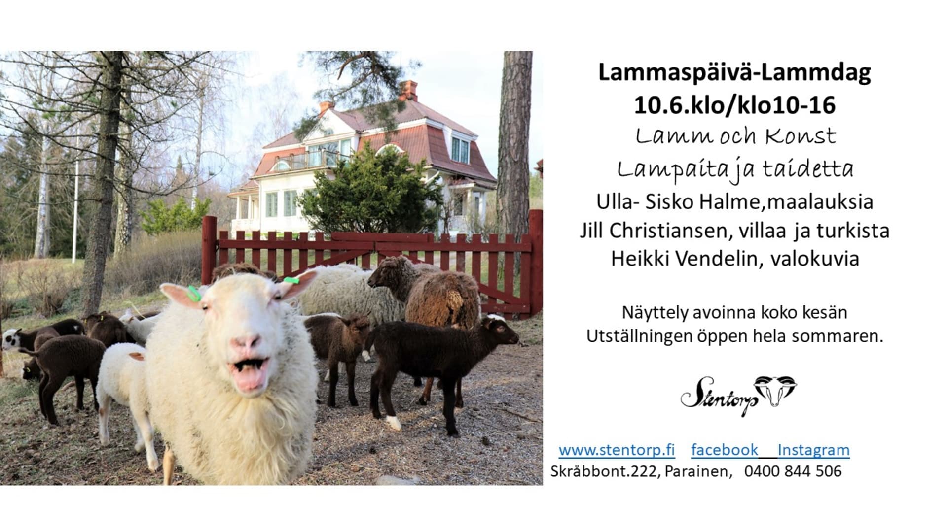 Lammaspäivä Lammaspäivä