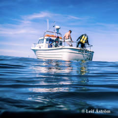 Hanko Diving -sukellusretket