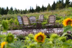 Tertin kartanon salaisuuksien puutarha Mikkelissä