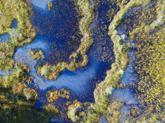 Rumala-Kuvaja-Oudonrimmet, Vaala