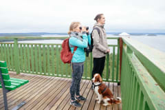 Päijänne-Ilves yhdysreitti Evolle