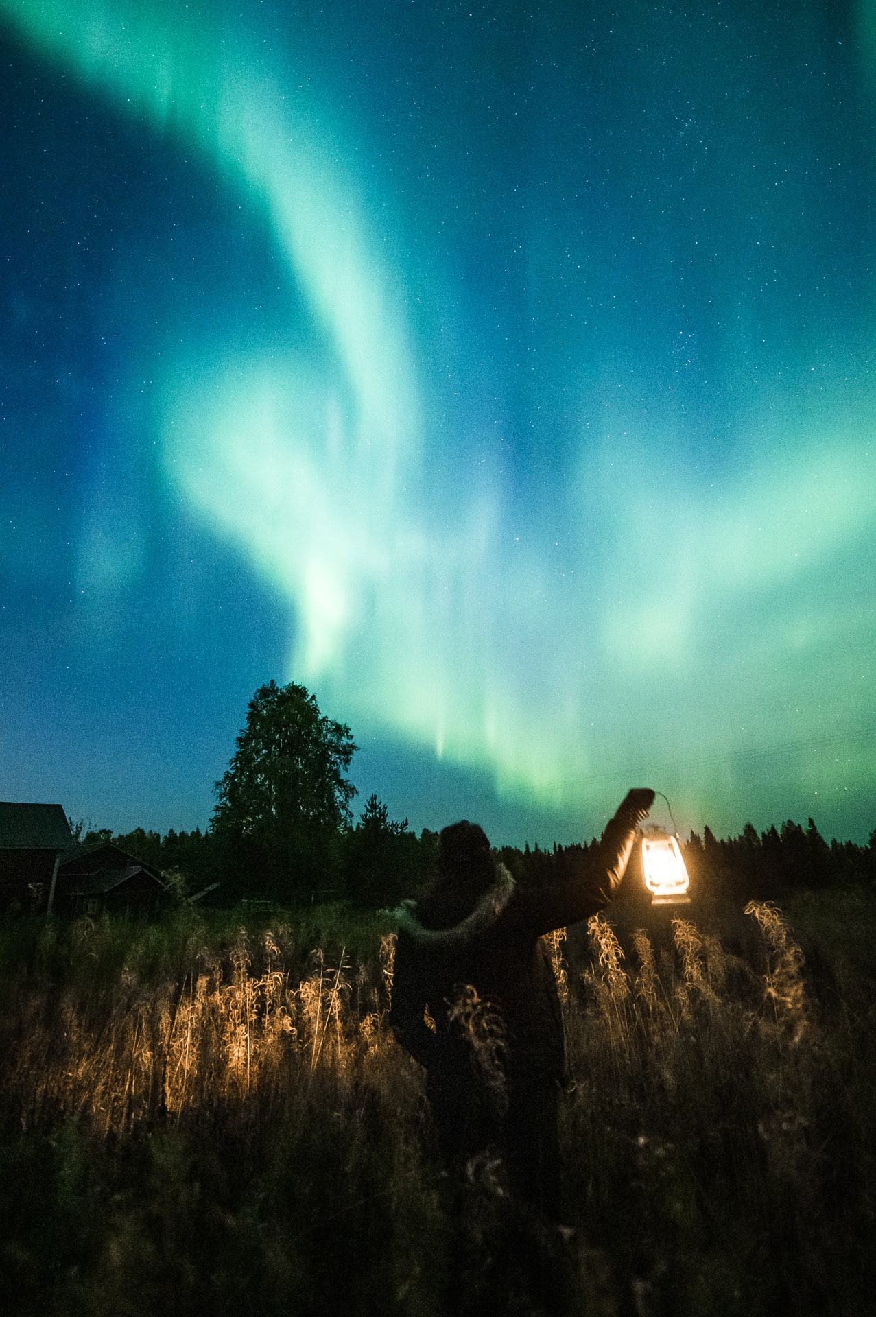 Northern Lights hunting on Ultimate Aurora Borealis Bootcamp at Apukka Resort Rovaniemi Lapland Finland