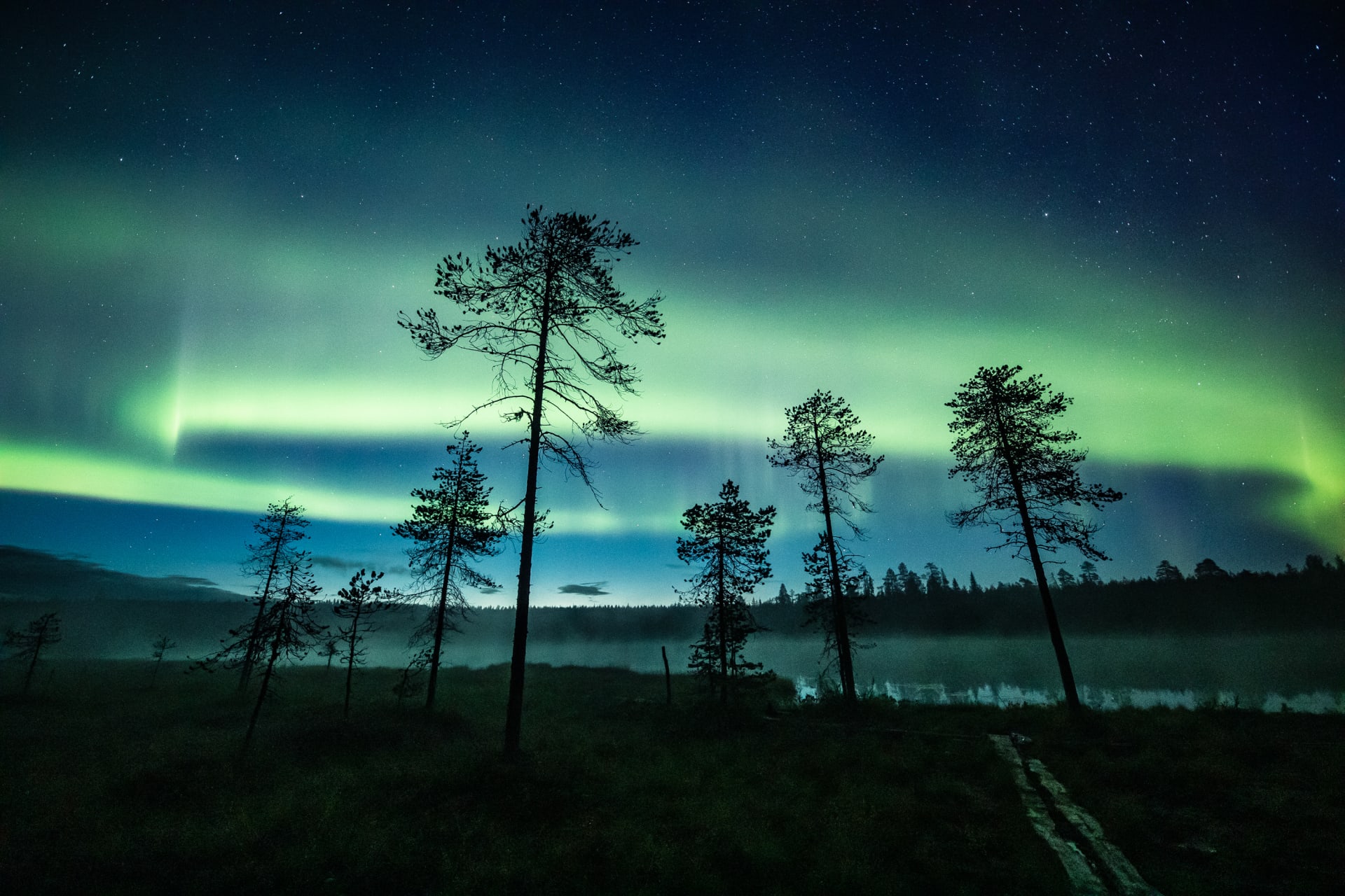 Northern Lights on Ultimate Aurora Borealis Bootcamp at Apukka Resort Rovaniemi Lapland Finland
