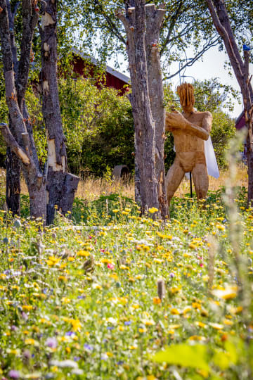 Wooden figure and the flower field.