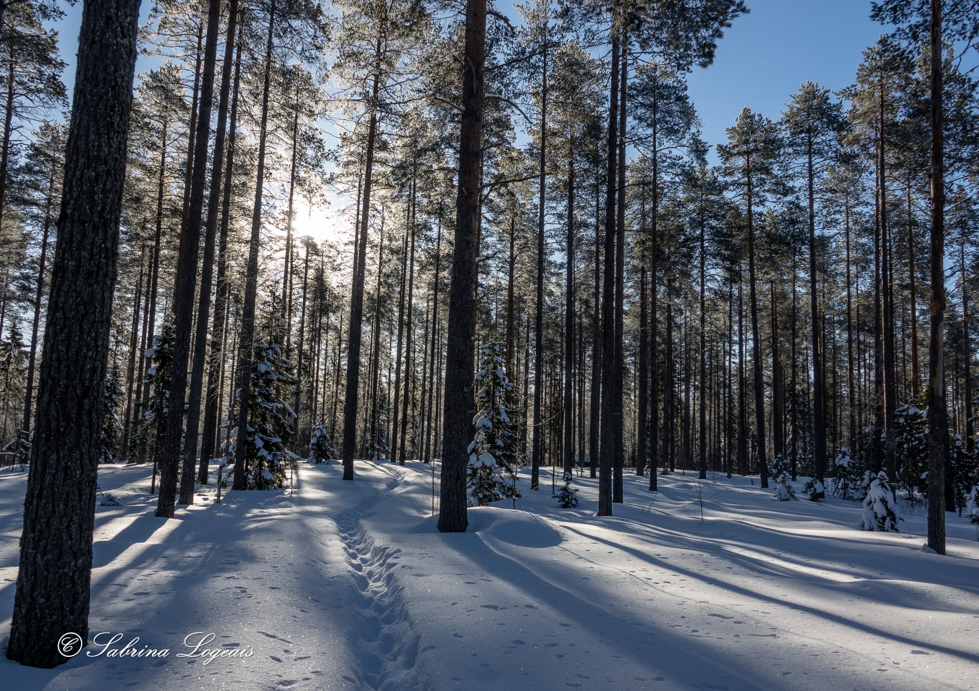 sliding snowshoes, Taiga Spirit , Lentiira