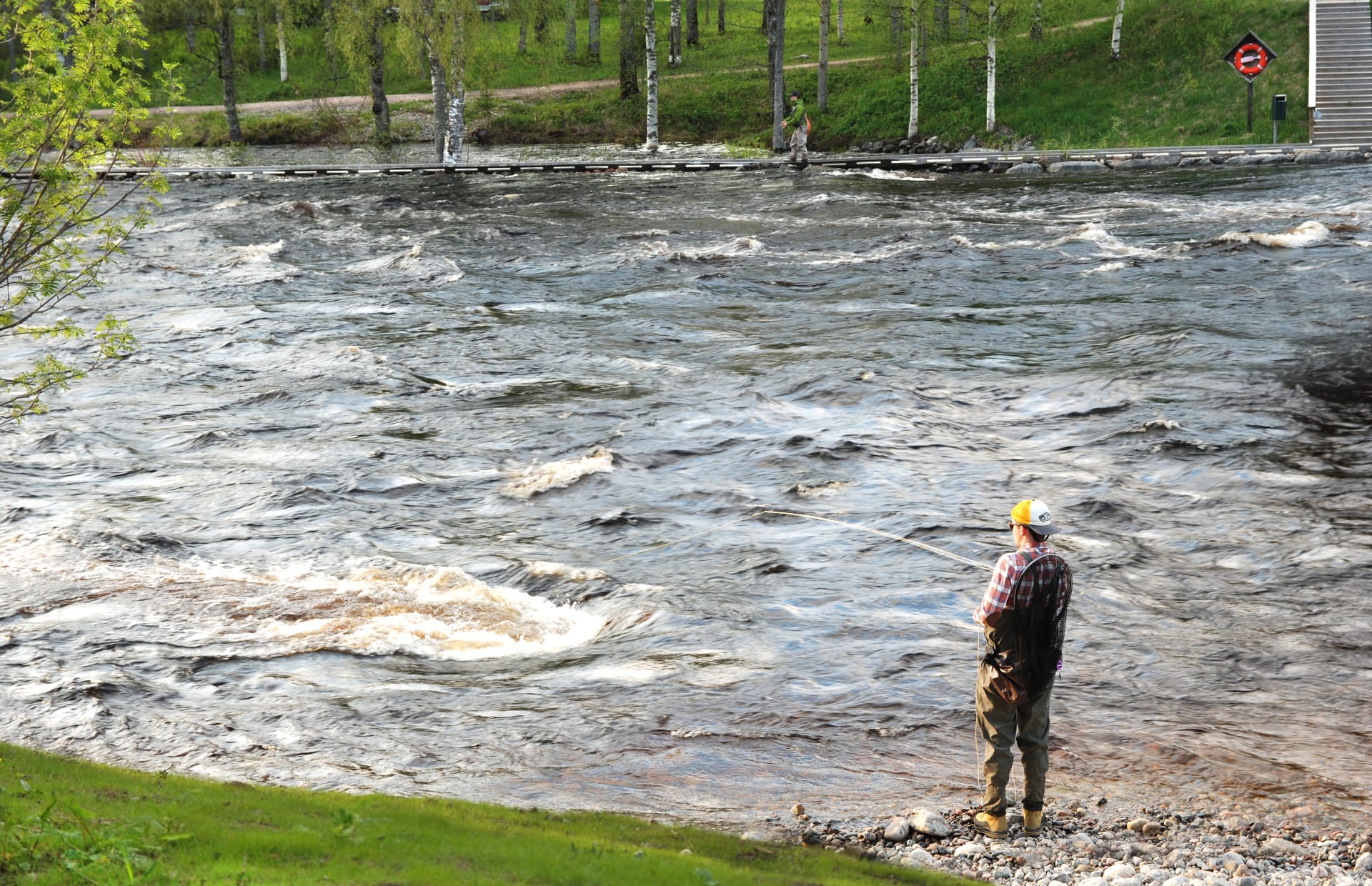 Fly fishers casting their lures at the Pajakka stream in Kuhmo town center, likely catching trout or grayling.