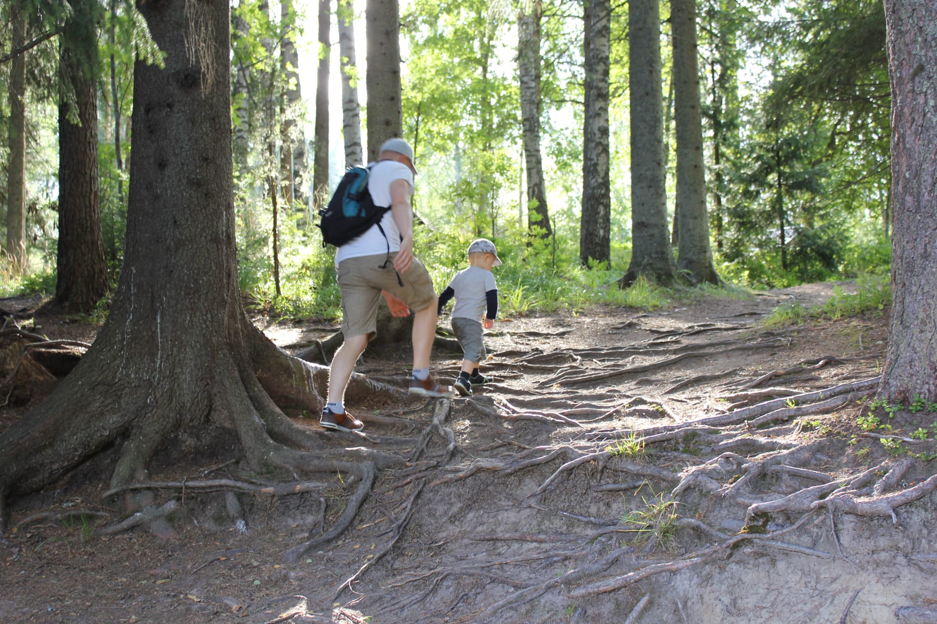 A child and adult are walking on a forest path.