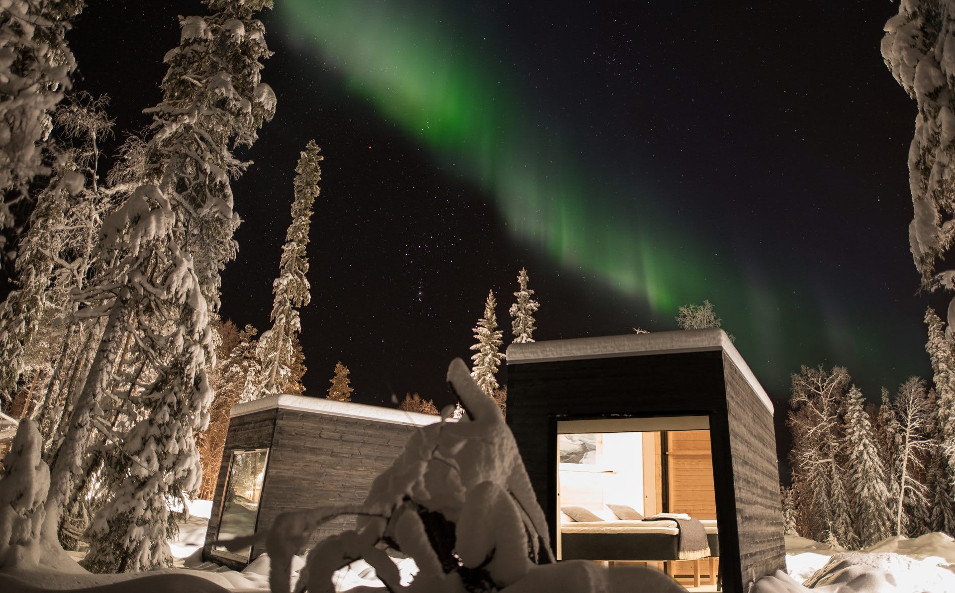 Panorama Huts with panoramic window facing the forest
