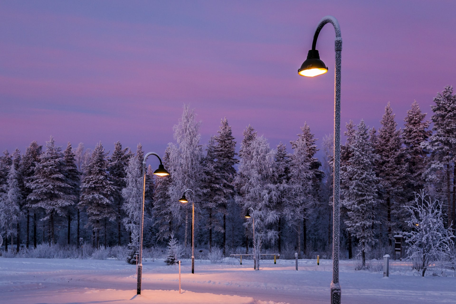 Street lights at the camping area.