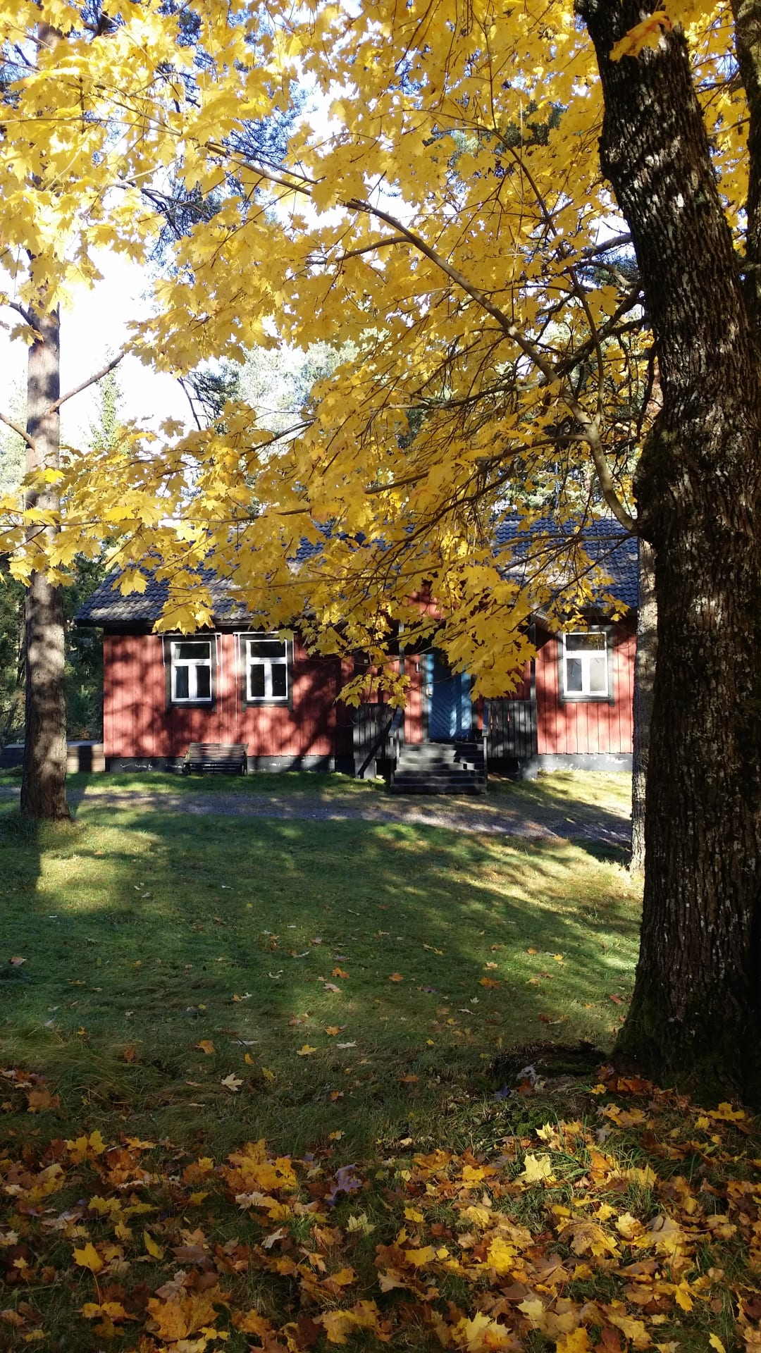 Autum view Autum view