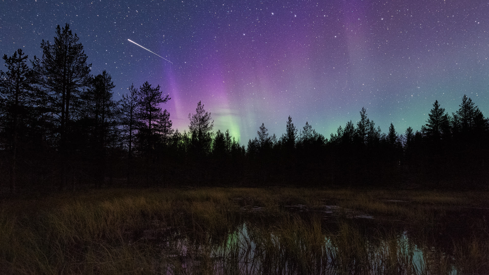 Northern Lights Basecamp October Photo Tour Visit Finland