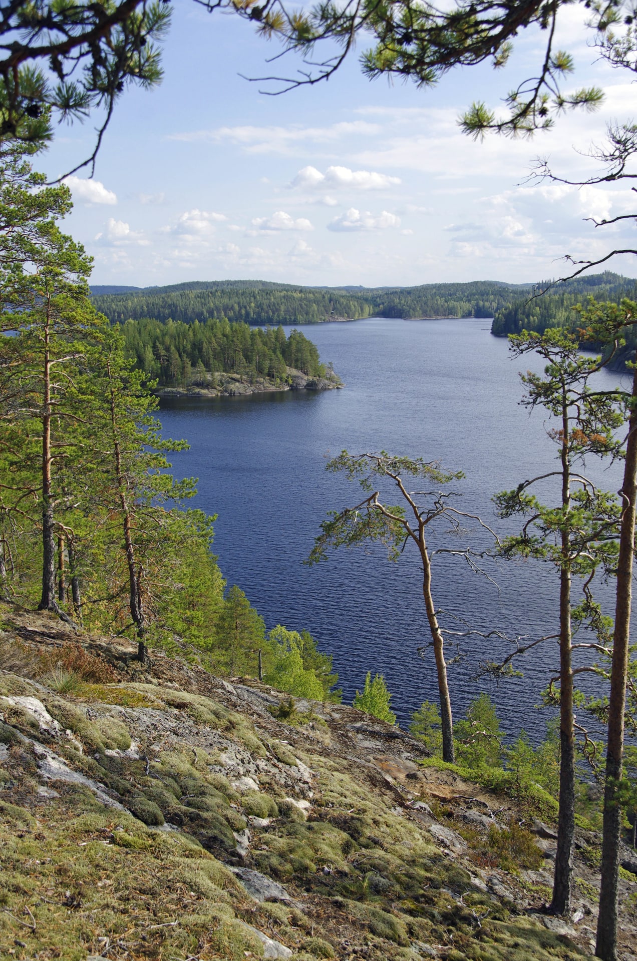 Pisamalahti Hill Fort