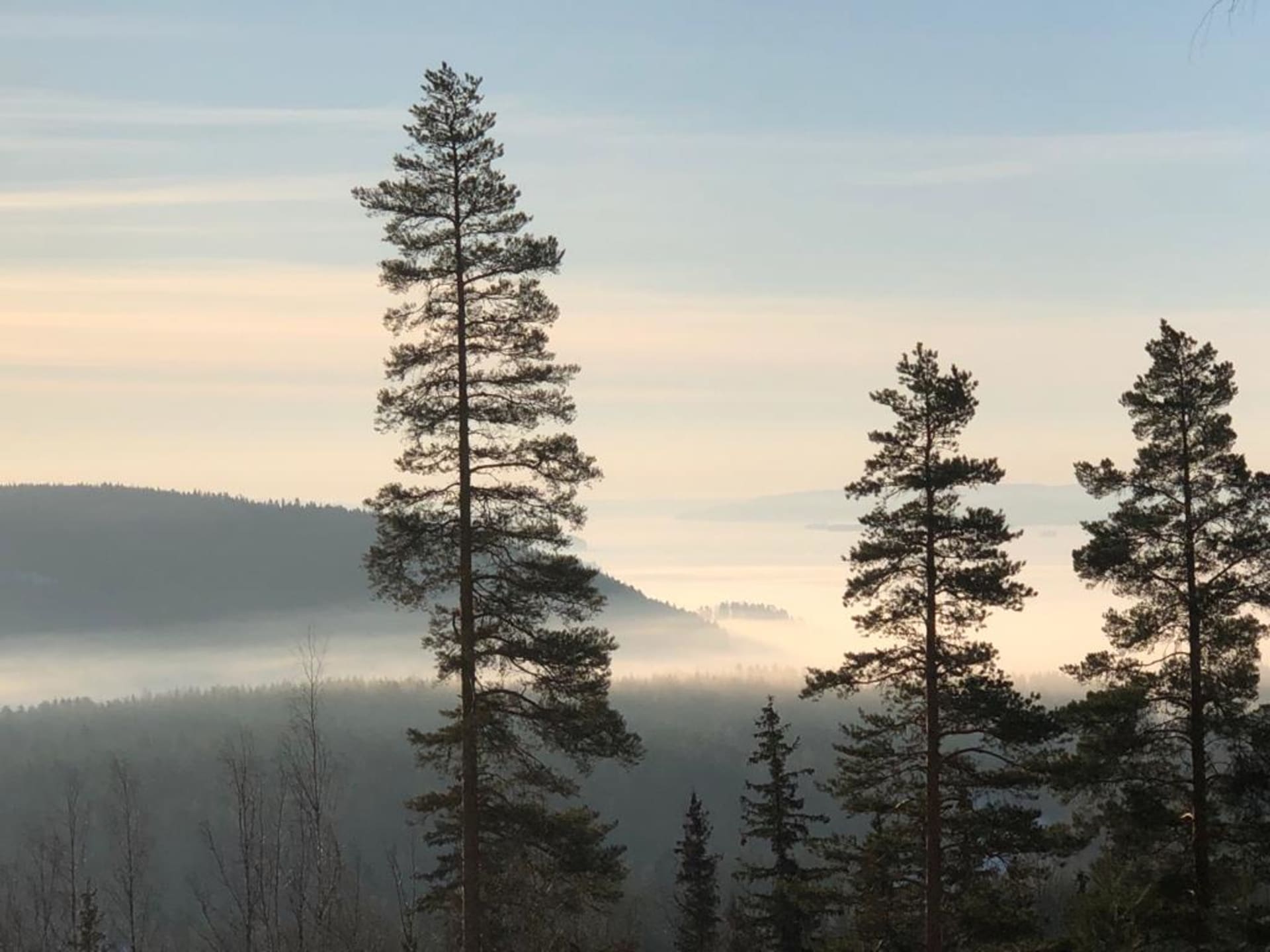 Riihivuoren huikeaa maisemaa