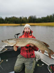 A big pike has been caught