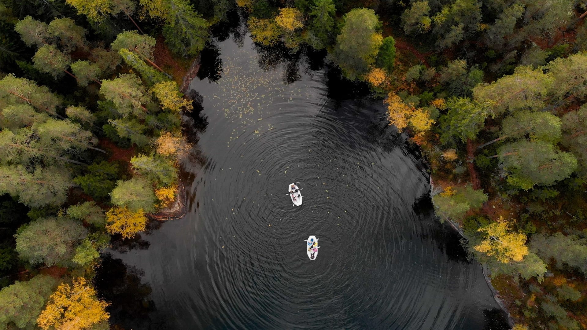 Bird's-eye view of the rafts