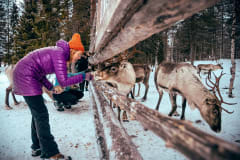 eSled Safari Poropuistoon