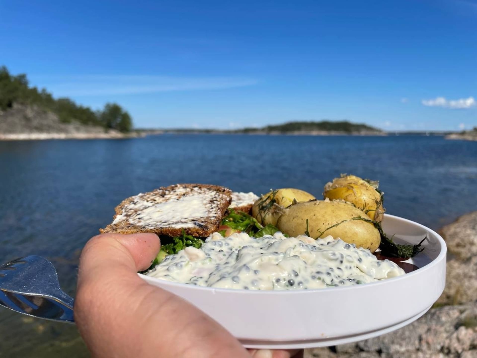 Outdoor lunch  Outdoor lunch