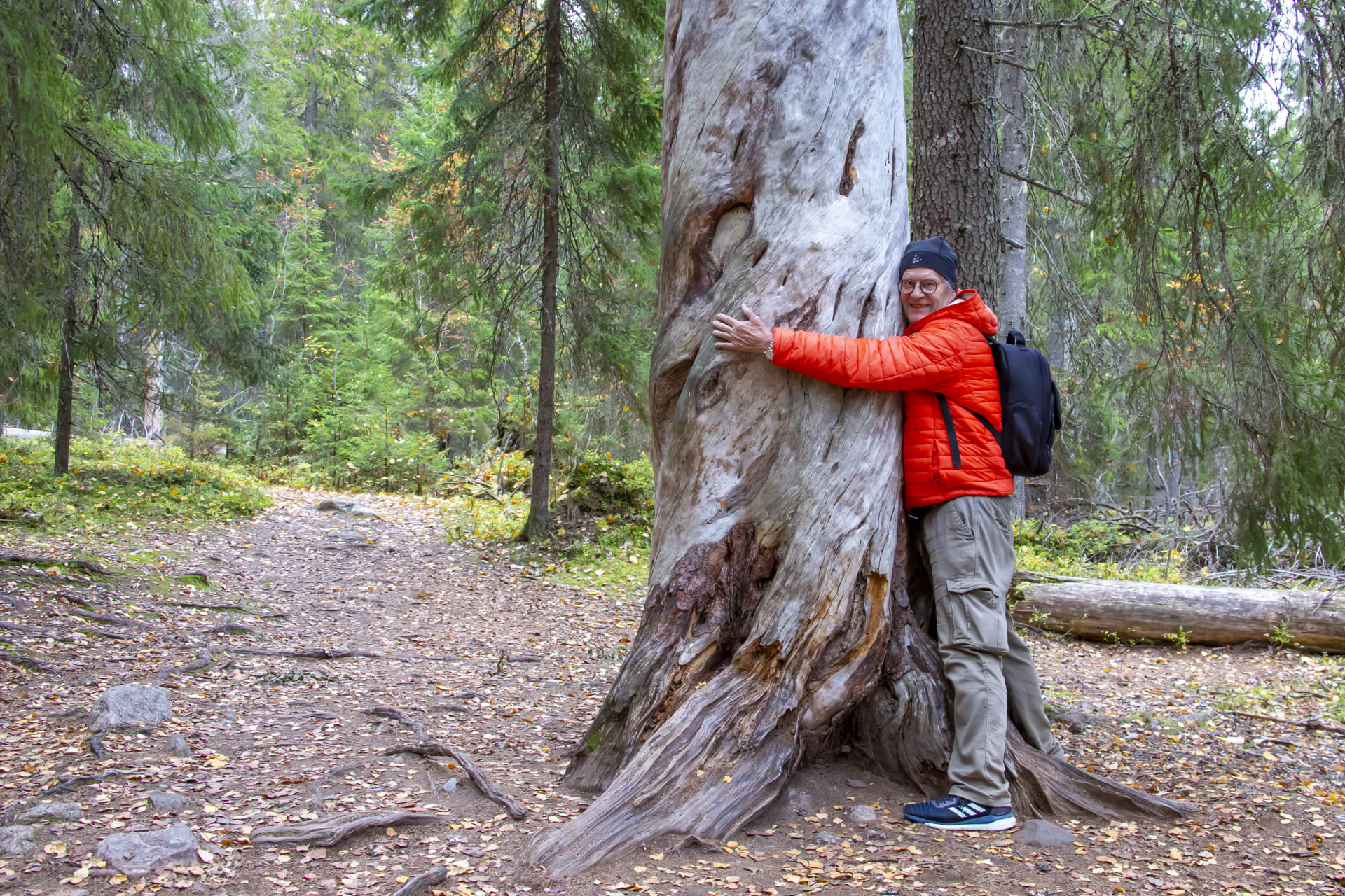 Pyhä-Häkki National Park