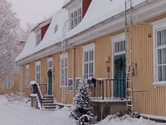 Taideniitty in winter