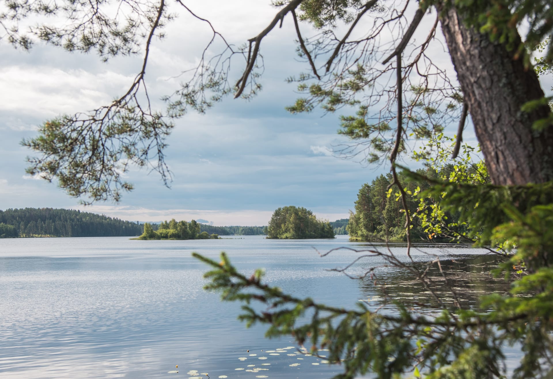 Rasuanniemi kulttuurihistoriallisesti arvokas niemialue, joka sijaitsee Kankarisvedellä