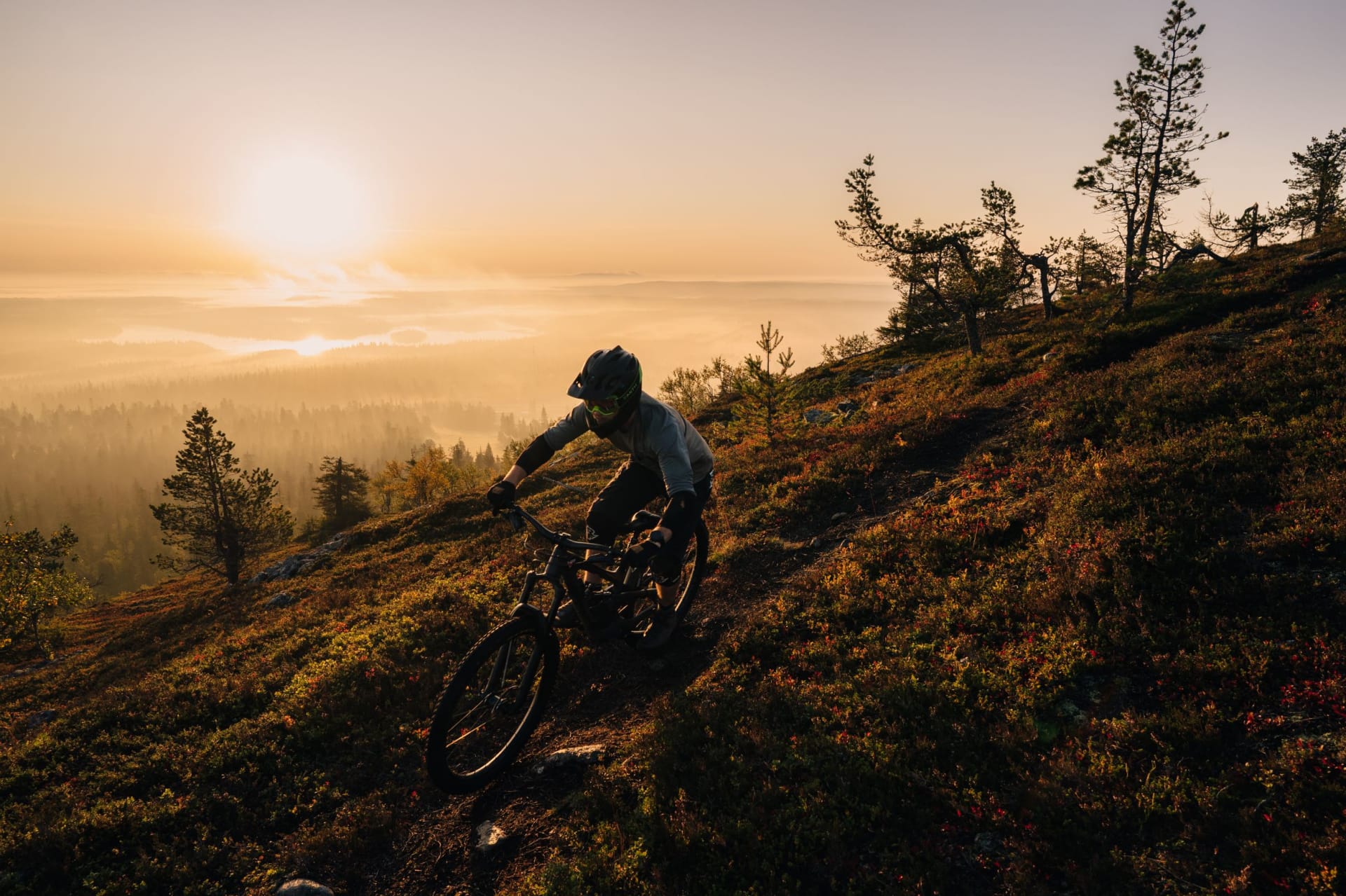 MTB_bikepark_Ruka