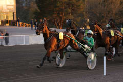 Amazing Horse Race Vermossa