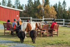 1h tilavierailu- kylässä eläinystävien luona