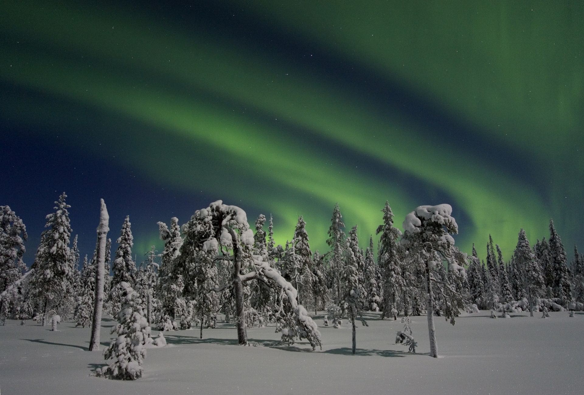 Northern lights 