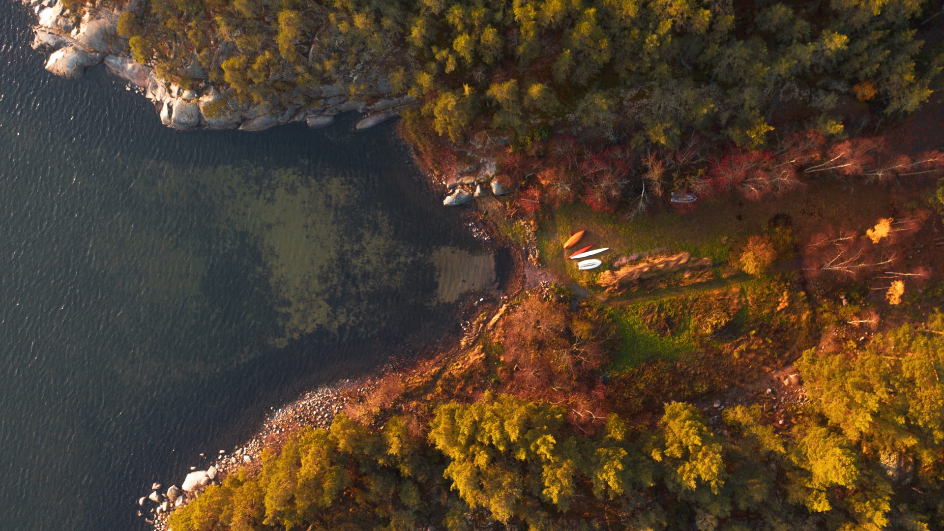 Beautiful autumn colors