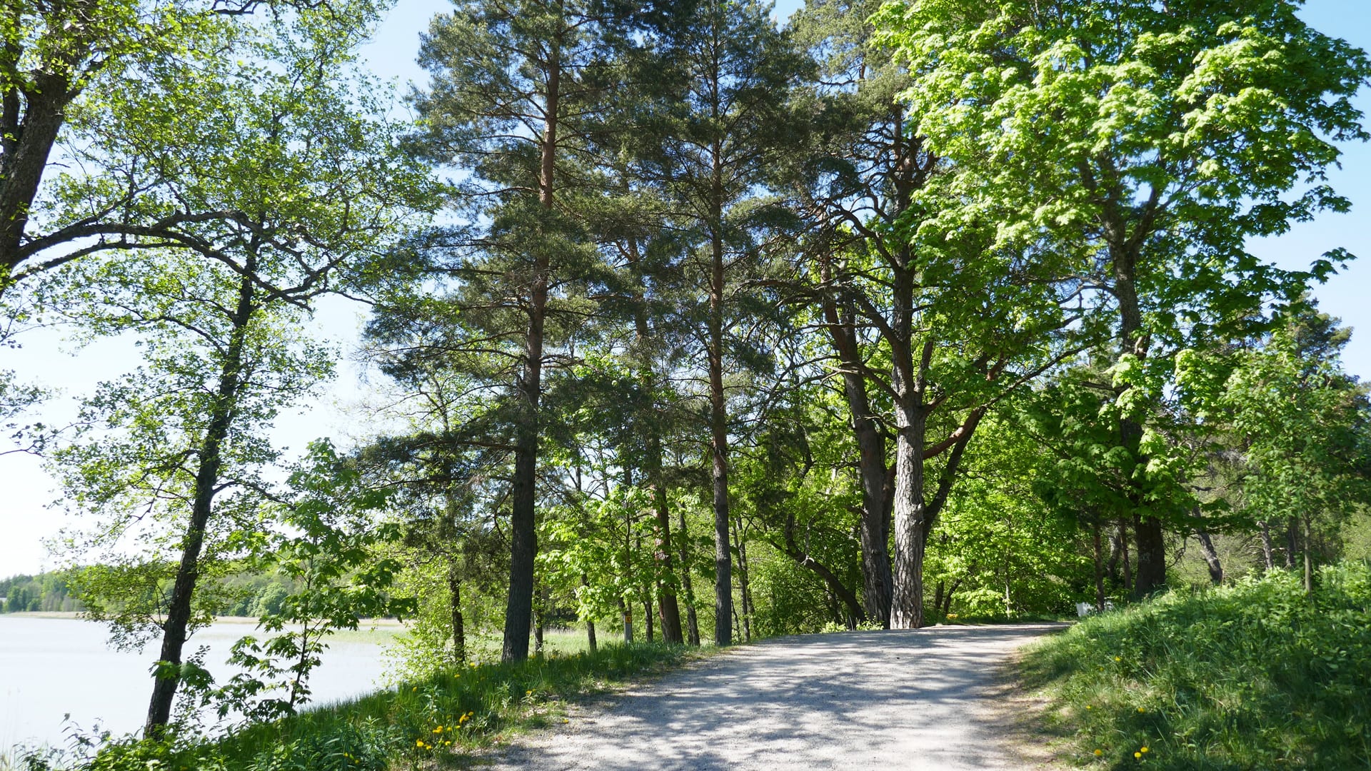 Walking path at Vuohensaari