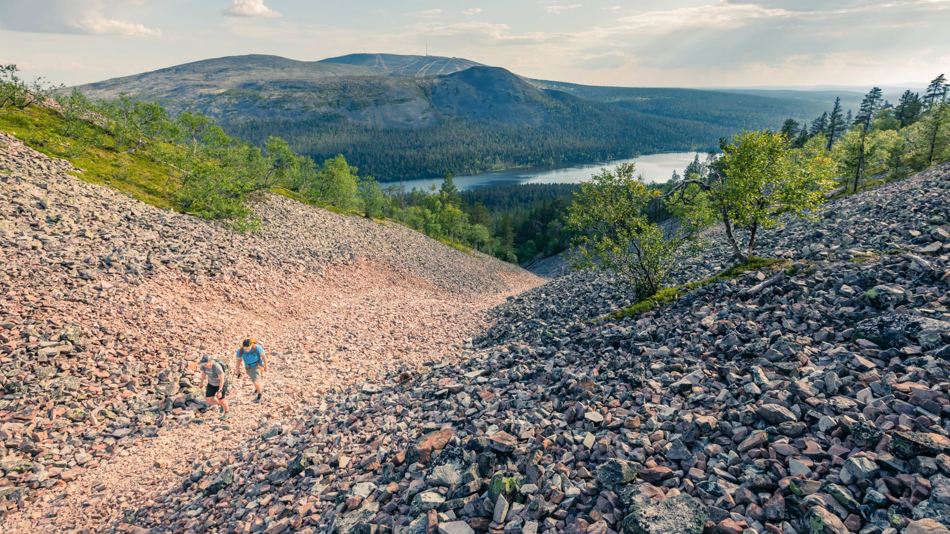 Pirunkurun ponnistus trail to Kesänkitunturi in summer, Ylläs