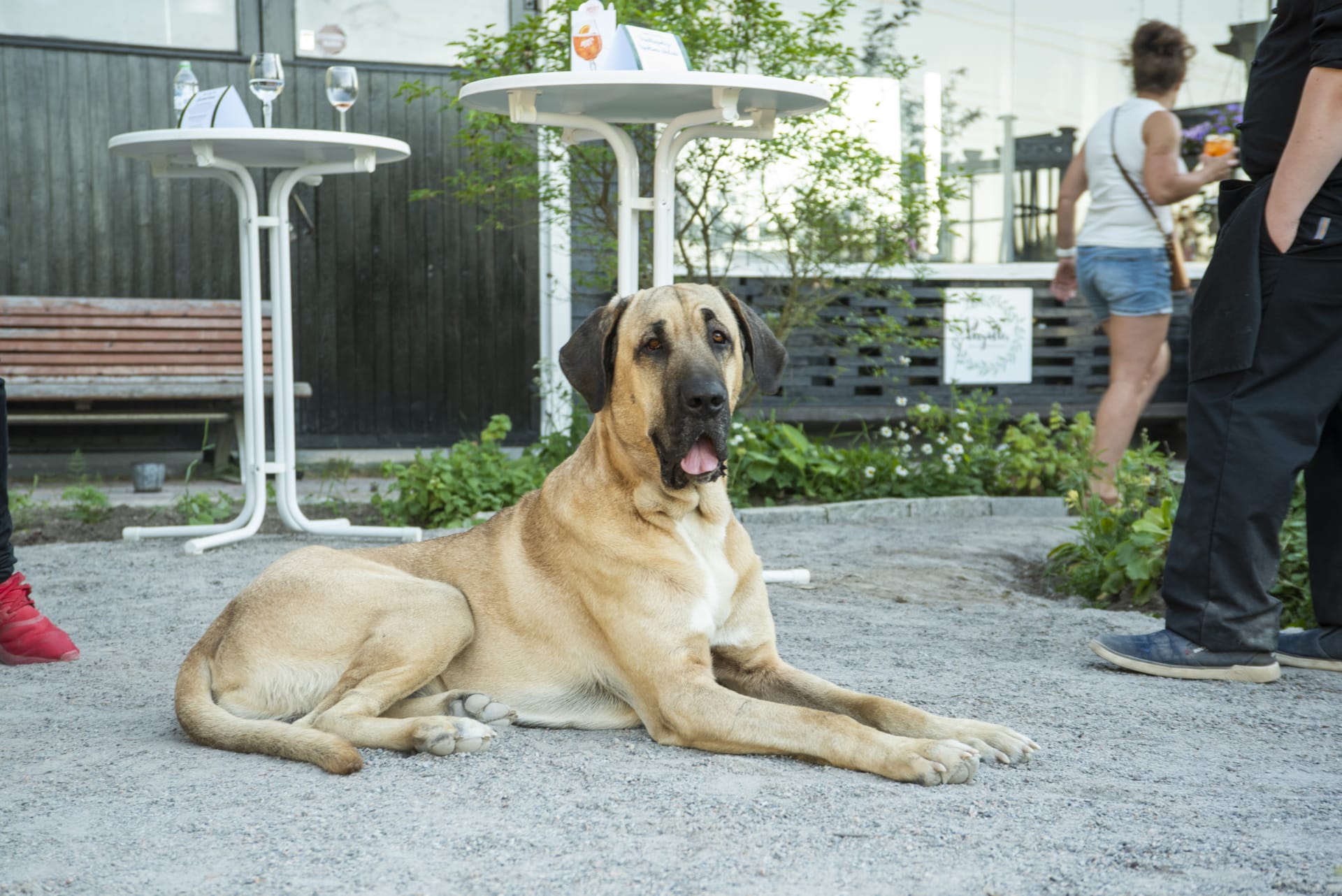 the watchdog2 of the host couple