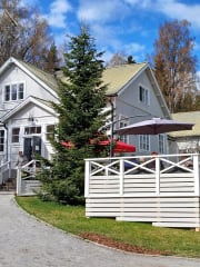 Puodilla on iso terassi