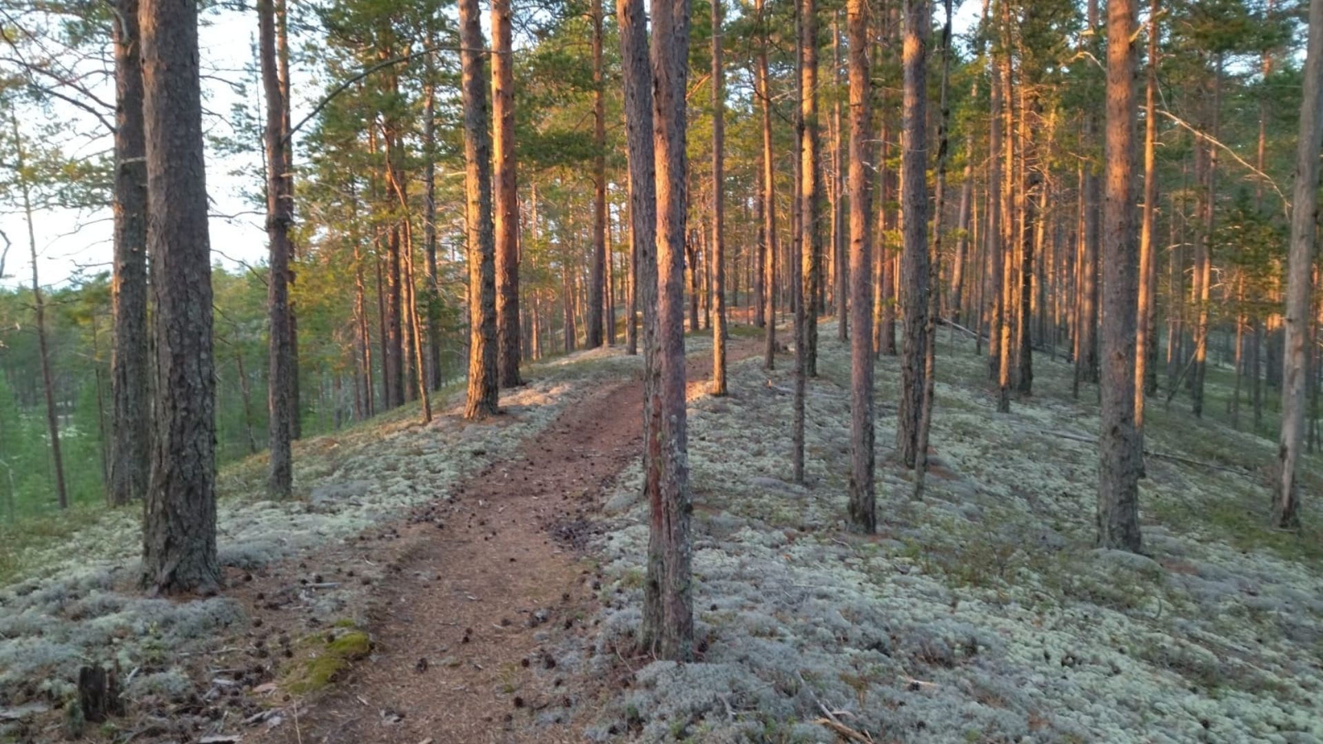 Hyypänmäki, Struve measure point,