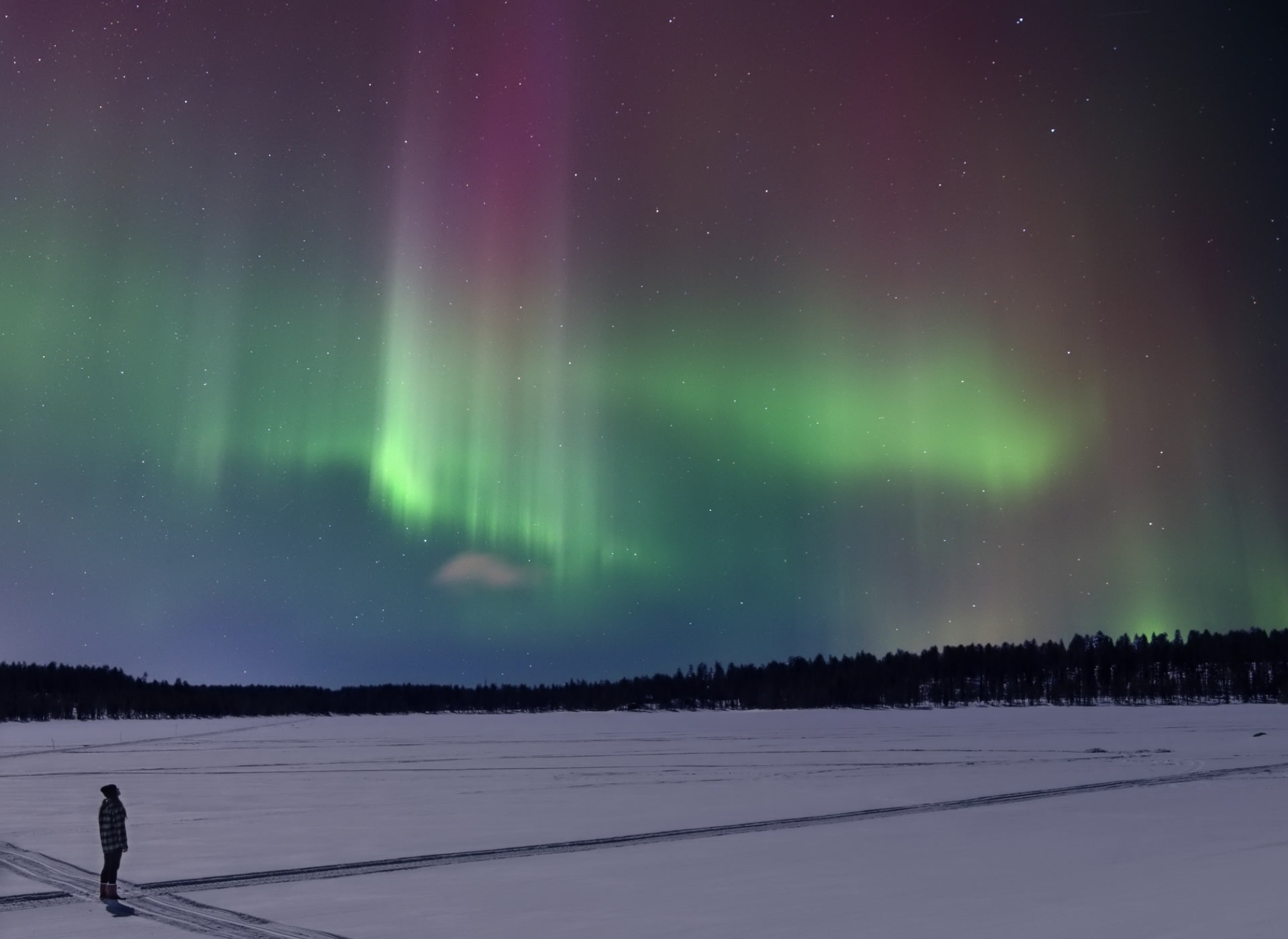 Northern lights at a lake