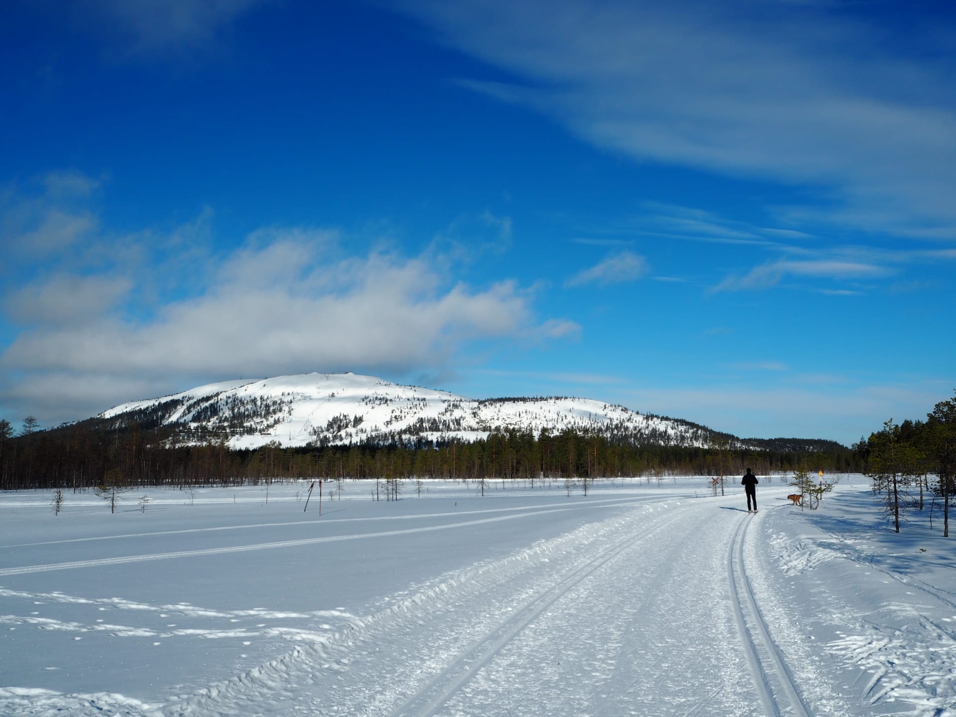 Lapland by Rail Winter