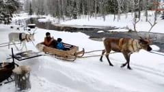 Sleigh ride at the river side