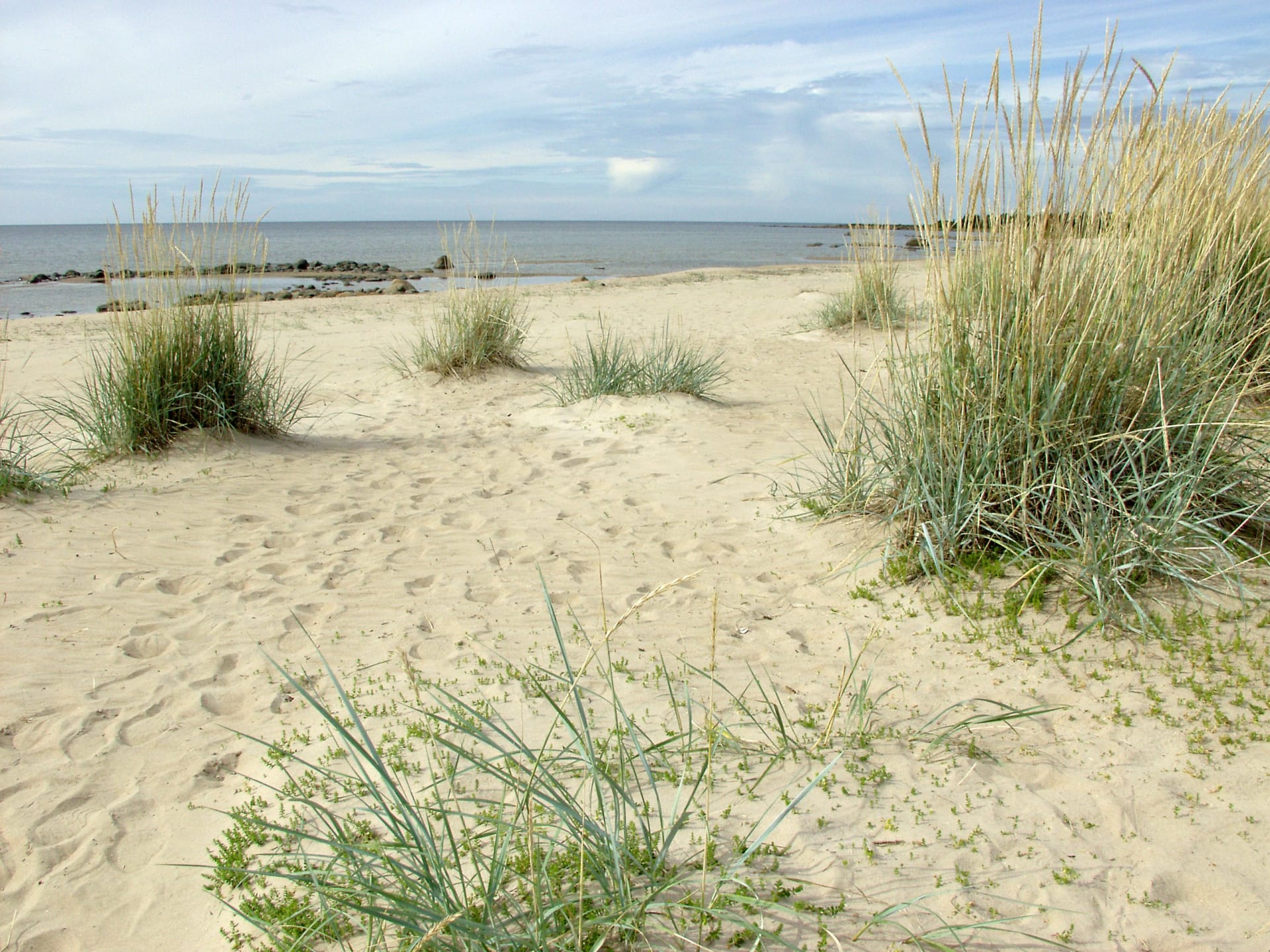 Natural white sandy beach of Tauvo in Siikajoki with white 