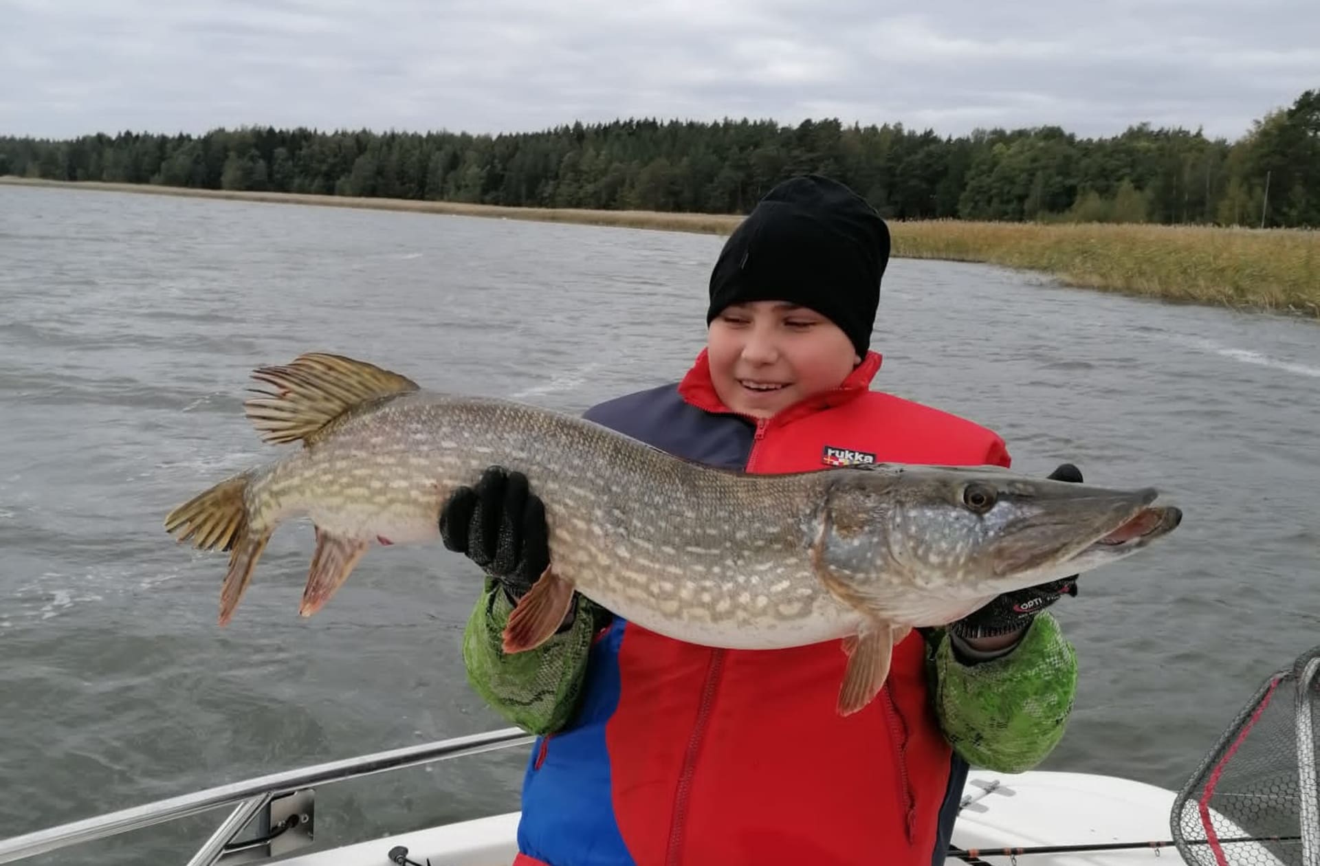 Pike catching in Särkisalo in Baltic Sea Archipelago.
