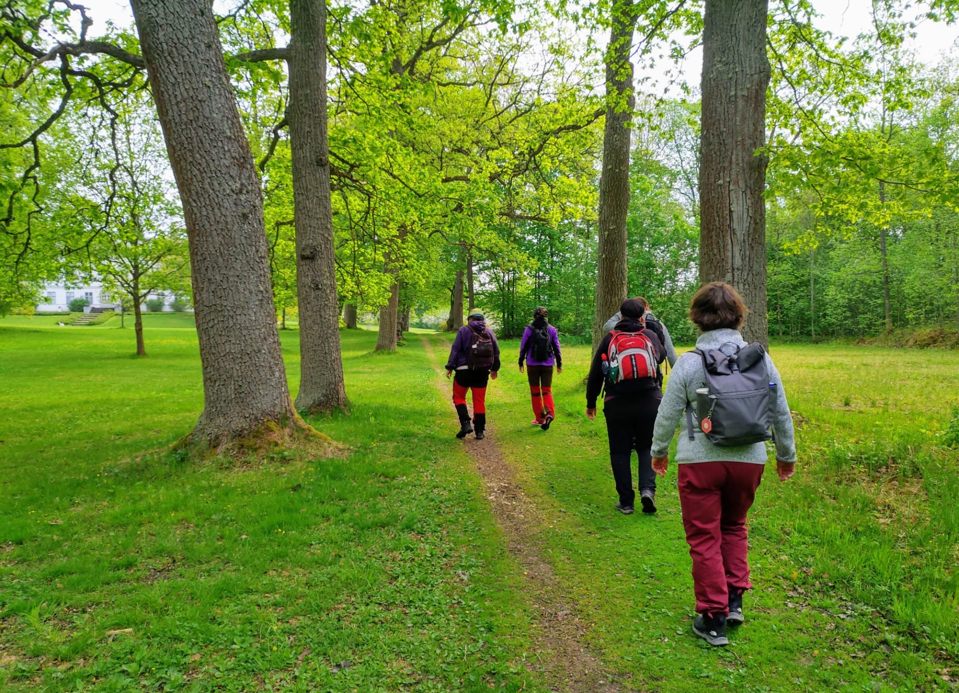 women walking in nature