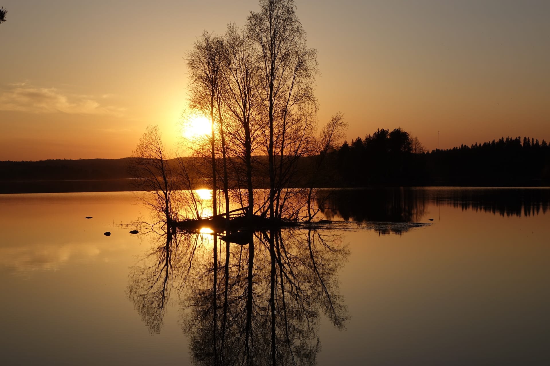 https://aksytammat.fi/en/p/38/hiking-tours-in-two-national-parks-and-nature-reserve-area