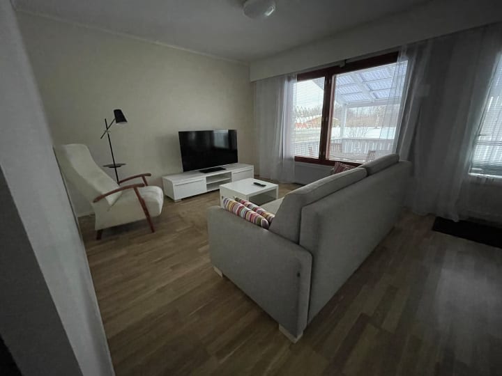 Cozy living room. The sofa bed can sleep two.
