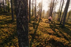 MTB_bikepark_Ruka