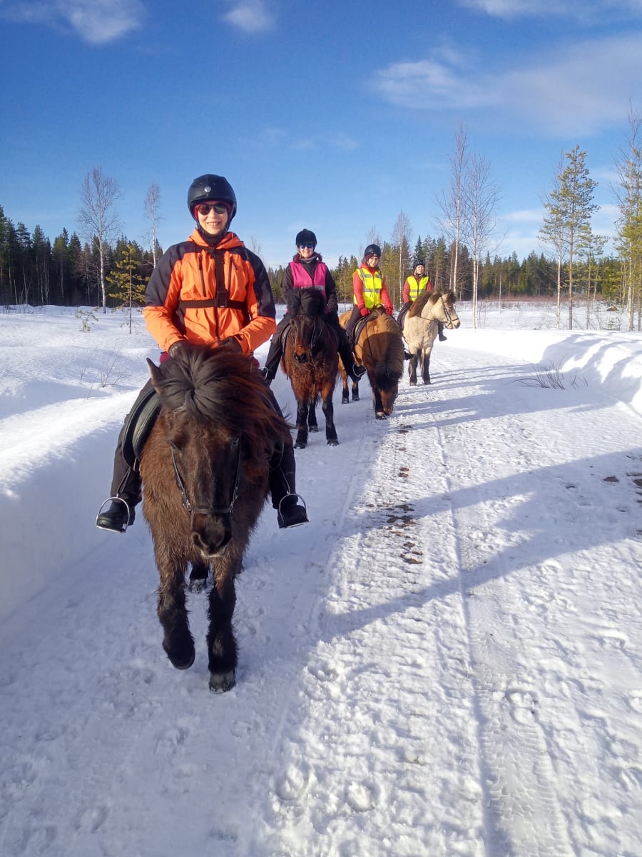 Icelandic Horse Riding Trek in Finnish Nature